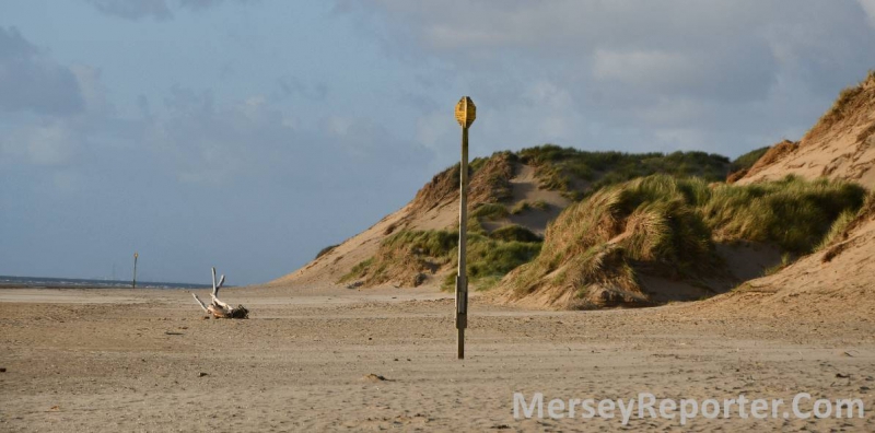 If you go down to the coast...!