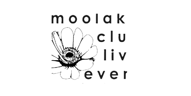 Huge electronic music showcase is coming to Birkenhead