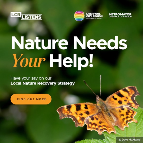 Public asked to shape new strategy to restore habitats, protect species, and boost biodiversity across Liverpool City Region