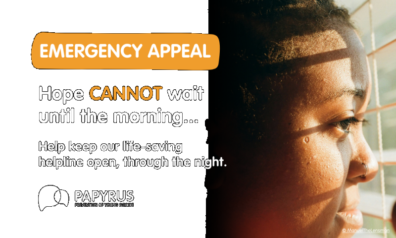 Suicide charity urges UK Government:- 