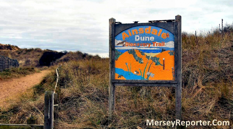 Fatal dog attack on Sefton coast conservation animal