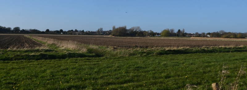 CLA welcomes review of environmental regulation