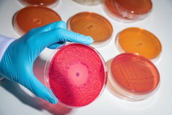 Liverpool City Region set to become global powerhouse in new front for fighting disease and driving wellbeing