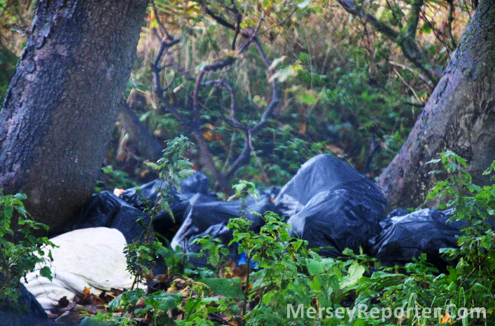 LGA statement on Government fly tipping announcement