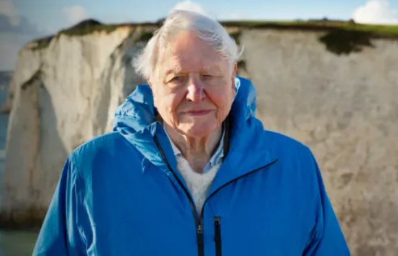 David Attenborough and Eurovision steal the spotlight at Vue's across Merseyside this month 