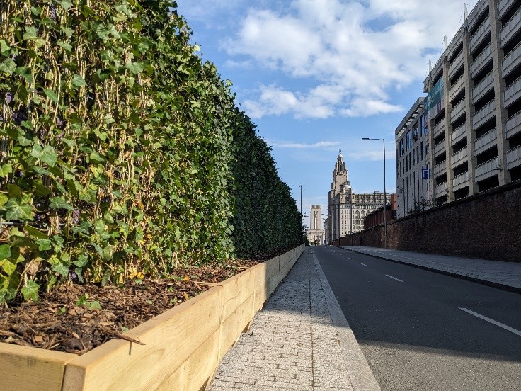 Ugly wall transformed into flourishing landmark, thanks to Council greening project