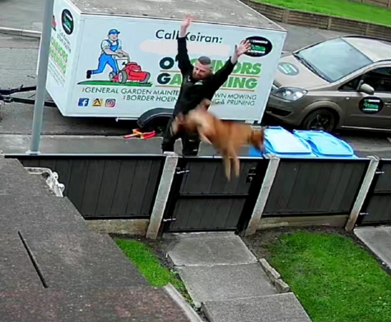 Abusive dog owner gets 5 year ban after being filmed hurling elderly Staffie