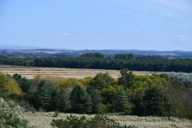 Call for evidence - how can the rural economy prosper under devolution?