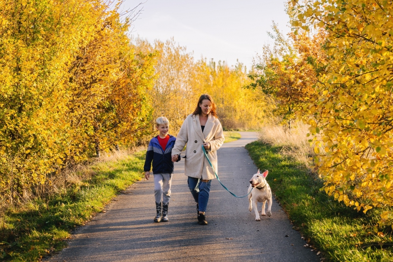 Walkies! Take on 62 Mile challenge to Support Dogs Trust Merseyside this October 