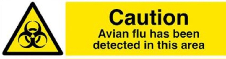 Martin Mere Wetland Centre Temporarily Closed Due to Suspected Avian Influenza