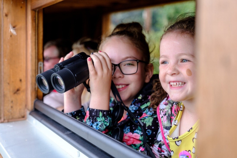 Kids go free at WWT Martin Mere during teacher strikes