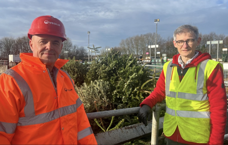 St Joseph’s Hospice Christmas Tree Collection Smashes Expectations with over 800 Trees Recycled