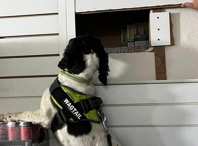 Premises closed for 3rd time over illicit vape sales