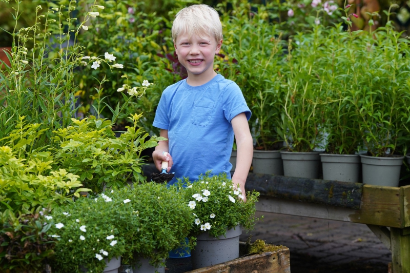 Peas and pods:- A free children’s gardening workshop at Dobbies’ Southport store