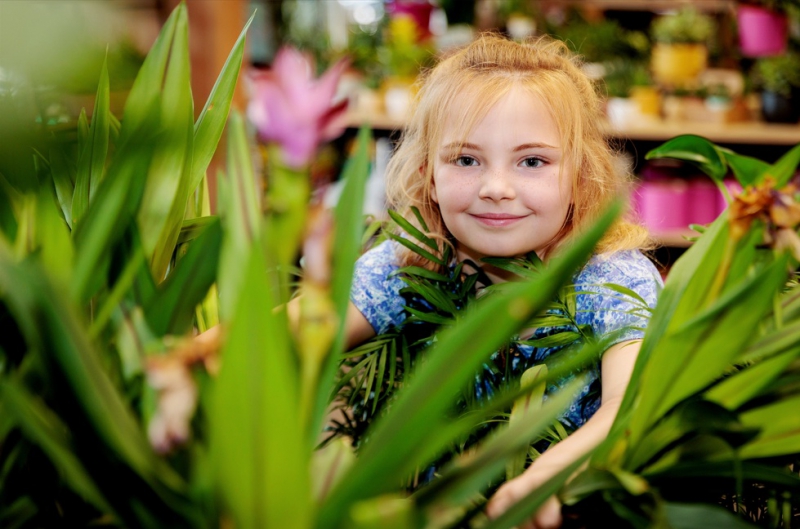 FREE event at Dobbies’ Southport store:- Discover super powered plants at Dobbies’ Little Seedlings Club