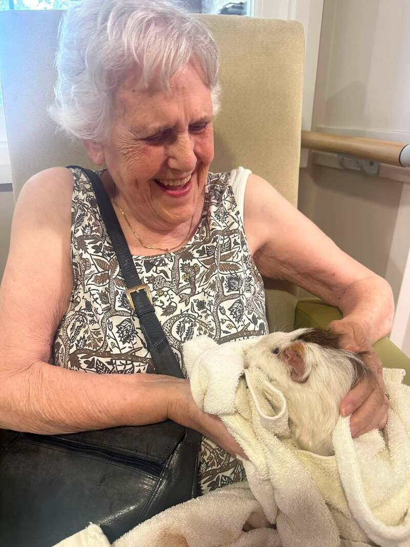 Guinea pig visit brings smiles to residents at Southport care home
