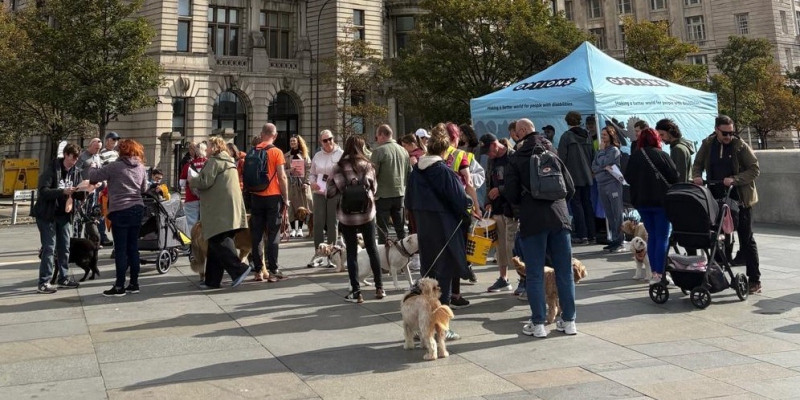 Huge Charity Dog Walk Taking Place in Liverpool this September  