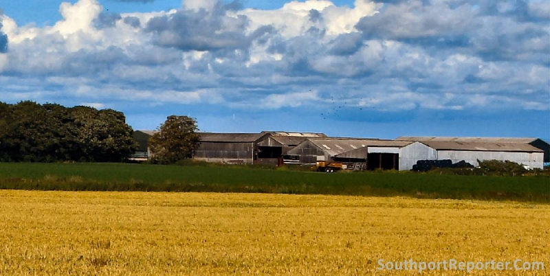 Farmers shrinking businesses to limit inheritance tax damage, new survey shows