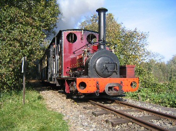 Don't miss the WLLR's annual Easter Egg Hunt 