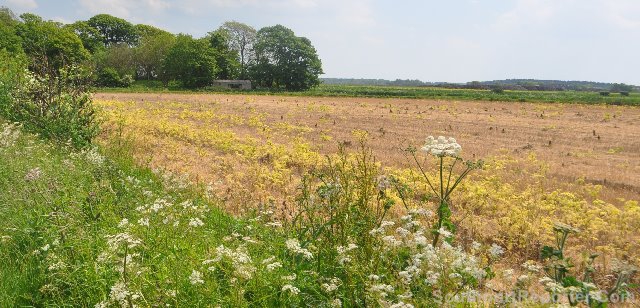 CLA comment on Prime Minister's raft of farming measures