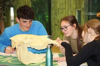 Knowsley Safari inviting students to take a walk on the wild side this National Careers Week