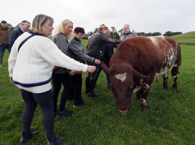 All aboard the British Farming Bus:- Morrisons tours to take customers to meet the foodmakers