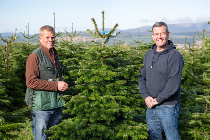 Dobbies’ Liverpool store announces Christmas tree donations