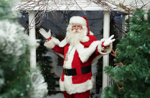 Santa arrives at Dobbies’ Southport store this Sunday