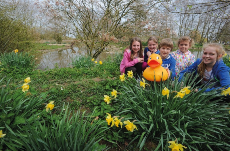 Get on nature’s trail with Duck themed events at Martin Mere this Easter