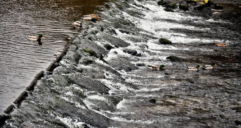 Labour introduces landmark legislation to crack down on bosses polluting waterways in Southport