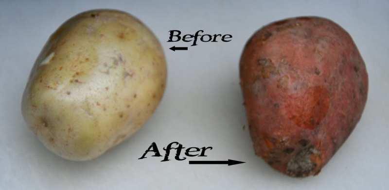 How to turn a Spare Potato into an April Sweet Potato