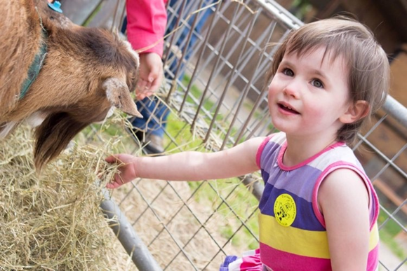 Heading to a farm? Enjoy your visit safely say health experts