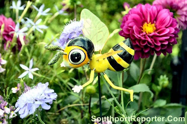 Countdown is on for the 2023 Southport Flower Show