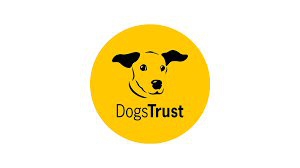 Dogs Trust issues urgent appeal for foster carers in North West to help dog owners fleeing domestic abuse 