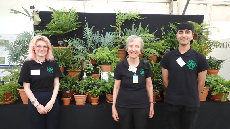 Budding Edge Hill University botanists win gold at the Southport Flower Show