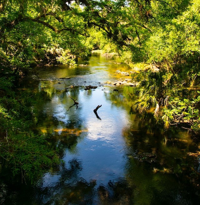 Environment Agency supports local water monitoring and research in the North West