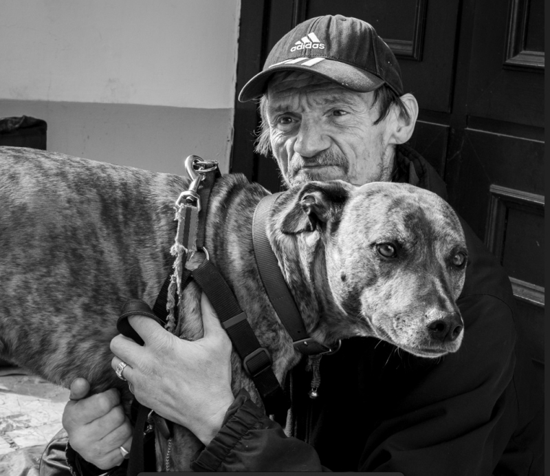 Exhibition that gives a glimpse into homelessness at Williamson Art Gallery