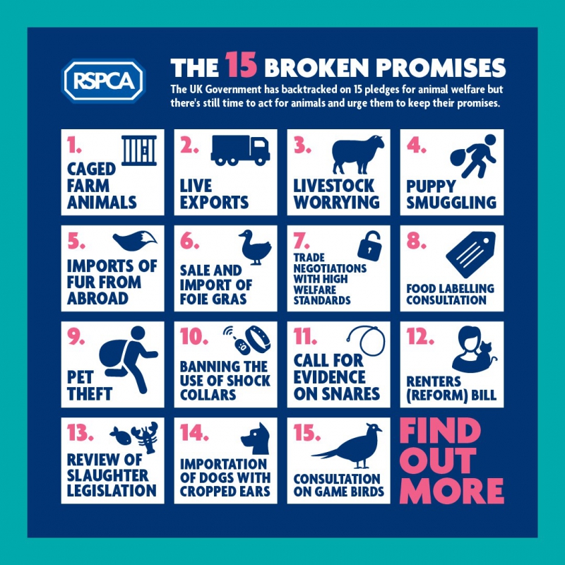 Labour party urged to make commitments on 15 broken promises