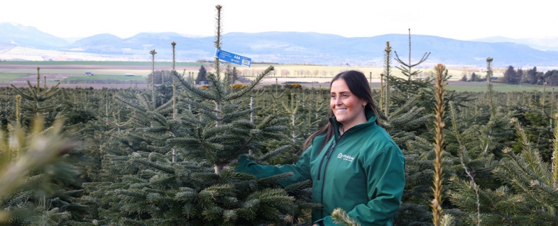 Dobbies’ Southport store spreads Christmas cheer with real tree donations