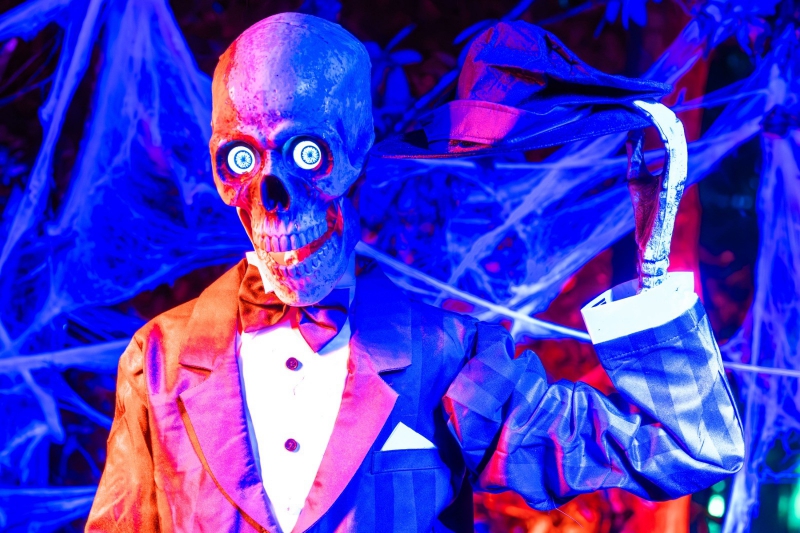 Halloween Lakeside Light Trail Announce New Late Night Terrifying Experience