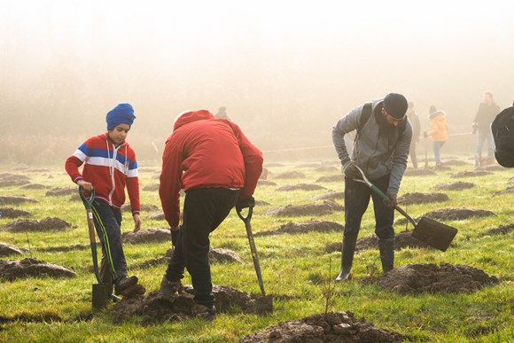 300,000 Free Trees Still Up For Grabs For Schools and Communities